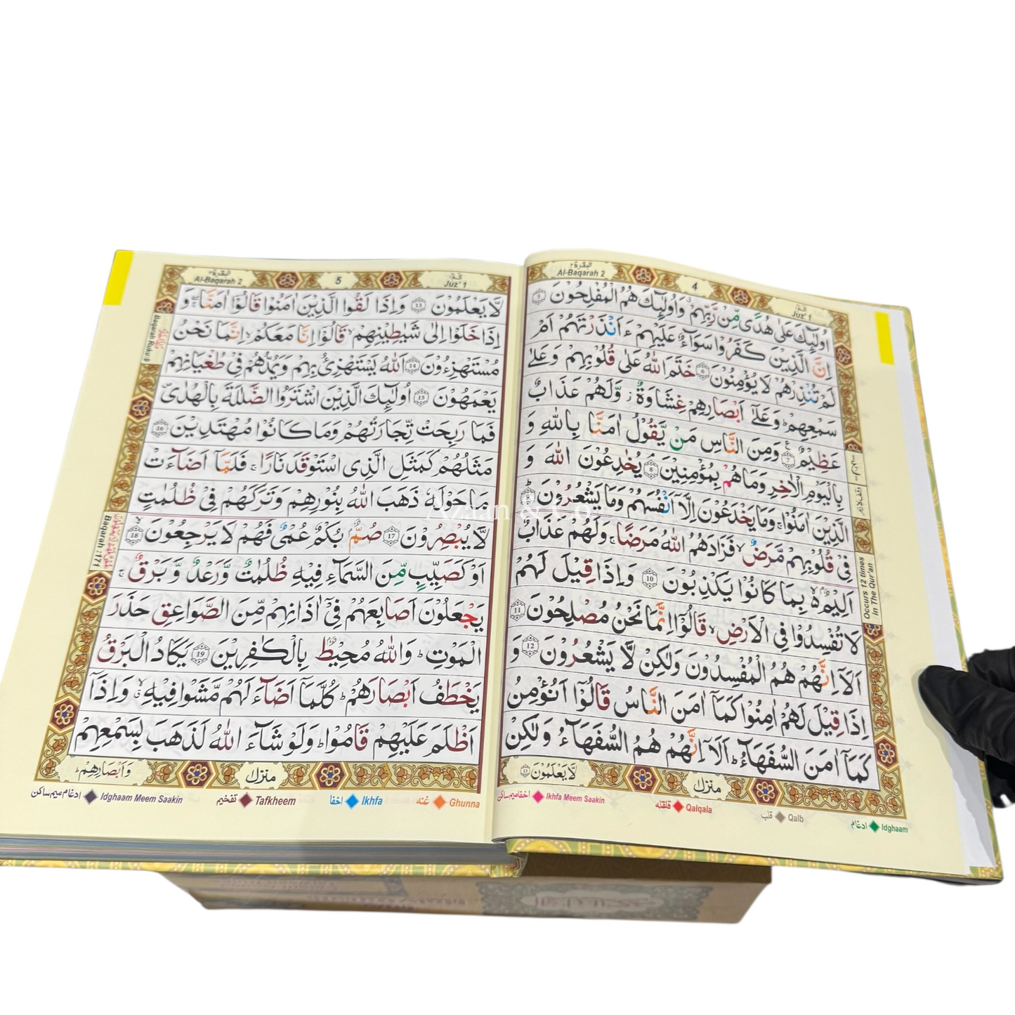 The Holy Qur’an 13 Line Arabic Only Tajweed Mushaf Large Quran Book