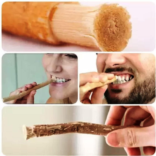 Sewak Al-Falah Miswak Traditional Natural Toothbrush Natural Siwak Stick Oral Care Pack